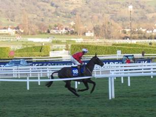Race 7 f Ballyhill.jpg