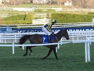 Race 7 h Barney Dwan.jpg