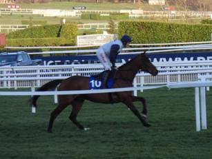 Race 7 i Rocklander.jpg