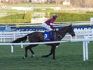 Race 7 k Tycoon Prince.jpg