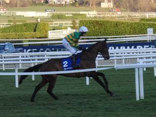 Race 7 m Any Second Now.jpg
