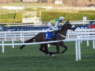 Race 7 n Testify.jpg