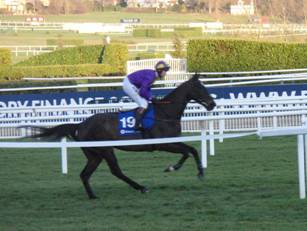 Race 7 p Kayf Adventure.jpg