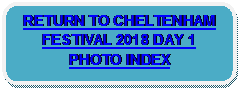 Rounded Rectangle: RETURN TO CHELTENHAM FESTIVAL 2018 DAY 1 PHOTO INDEX