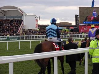 Race 4 Wonderful Charm r.jpg