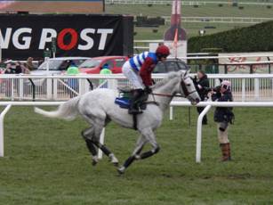 Race 5 a.jpg