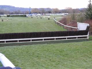Race 7 no horses.jpg