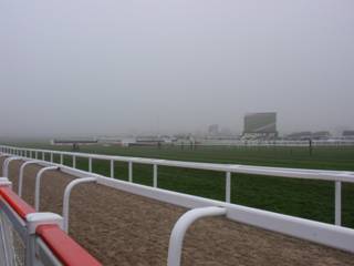 murky view.jpg