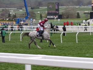 Race 1 g Disko.jpg