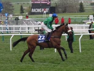 Race 2 b Alzammaar.jpg