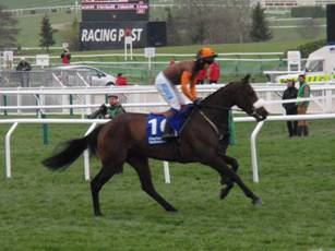 Race 2 c Impulsive Star.jpg