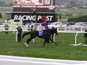 Race 2 d Golden Doyen.jpg