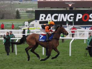 Race 2 e Tobefair.jpg
