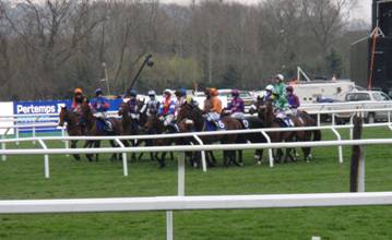Race 2 f the start.jpg