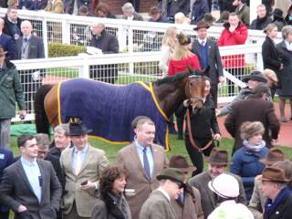 Race 6 j Dusky Legend.jpg