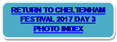 Rounded Rectangle: RETURN TO CHELTENHAM FESTIVAL 2017 DAY 3 PHOTO INDEX