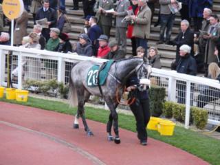 Race 7 d Squouateur.jpg