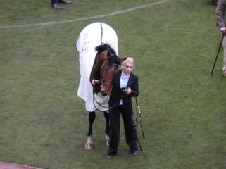 winner Laurina 3.jpg