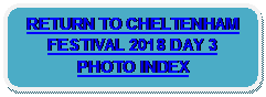 Rounded Rectangle: RETURN TO CHELTENHAM FESTIVAL 2018 DAY 3 PHOTO INDEX