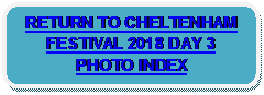 Rounded Rectangle: RETURN TO CHELTENHAM FESTIVAL 2018 DAY 3 PHOTO INDEX