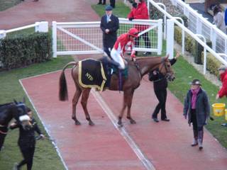 4th-placed Double Ross 1.jpg