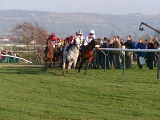 race 5 a.jpg