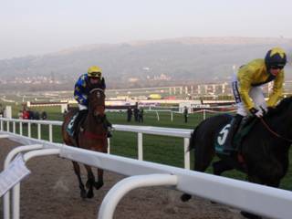 race 7 a.jpg