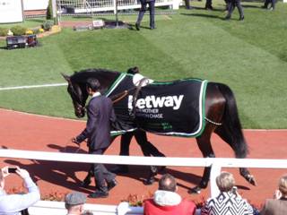Sprinter Sacre 2.jpg