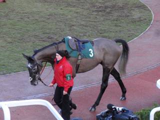 race 6 a.jpg