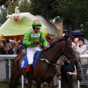 Fontwell 7 Sep 08 Thumbnail 2.jpg