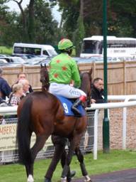 Fontwell 07 Sep 08 Thumbnail 5.jpg