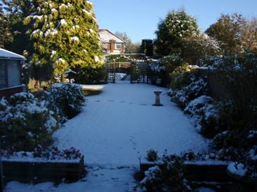 My garden.jpg