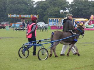 jockey heat 13 r.jpg
