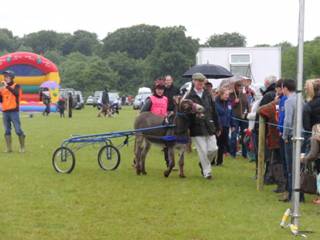 jockey heat 15 r.jpg