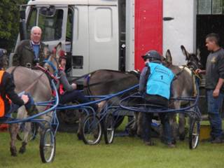 jockey race 2 r.jpg