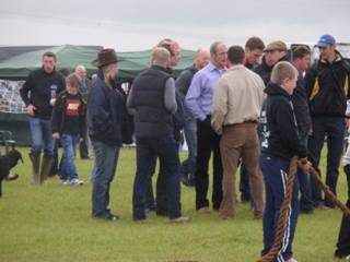 tug of war 1 r.jpg