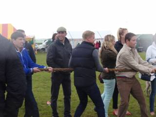 tug of war 2 r.jpg