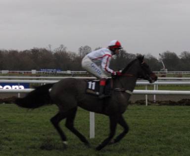 Kempton Park 15 Jan 2011 u r.jpg