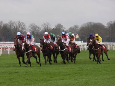Kempton Park 12 03 12 Race 1 b r.jpg