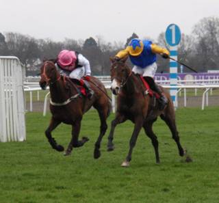 Kempton Park 12 03 12 Race 3 h r.jpg