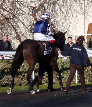 Kempton 21 Feb red l.jpg