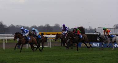 Kempton 11 Feb 2011 f r.jpg