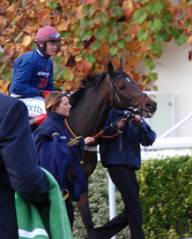 Crop 7 Kempton 19 Oct 08 thumbnail.jpg