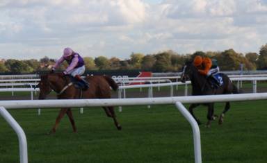 Kempton 02 Nov 09 f r.jpg