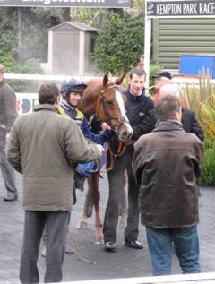 Kauto the Roc r.jpg