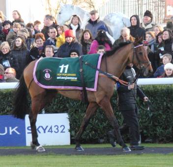 Kempton Park 26 Dec 08 red 4.jpg