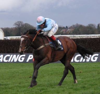 Kempton Park 26 Feb 2011 s r.jpg