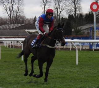 Kempton 27 Dec 09 a red.jpg