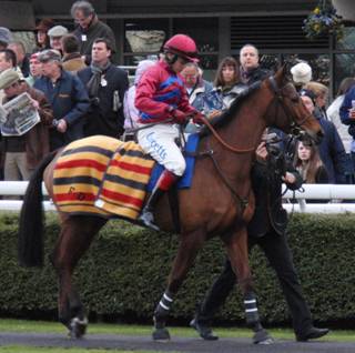 Kempton 27 Dec 09 i red.jpg