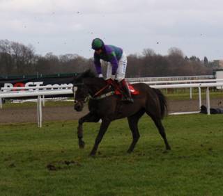 Kempton Park 27 Feb 2010 b r.jpg